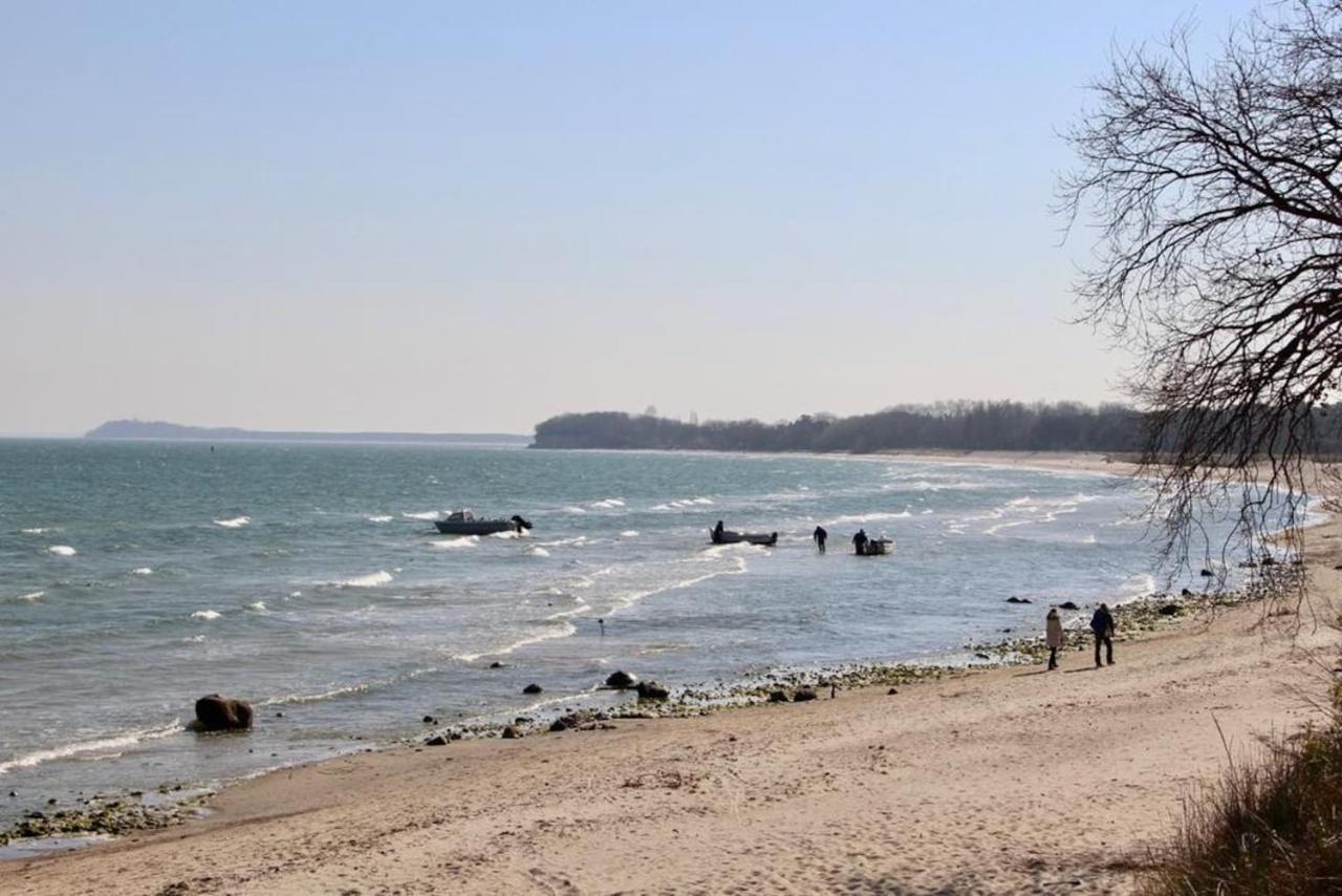 Walfisch Inkl Strandkorb